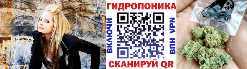 Наркошоп купить Канабис  A PVP  Мефедрон  Старая Русса