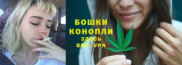 mdpv Волоколамск