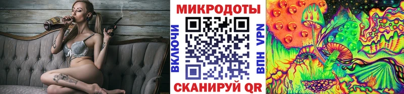 Галлюциногенные грибы Psilocybe  Купить где  Старая Русса 